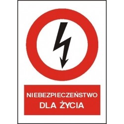 EG-tablice „Niebezpieczeństwo dla życia” pionowa