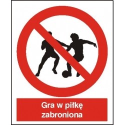 EG-tablice „Zakaz gry w piłkę”