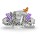 <span><b>Kolor gniazda pomiarowego</b>: <b>Fioletowy</b></span>
