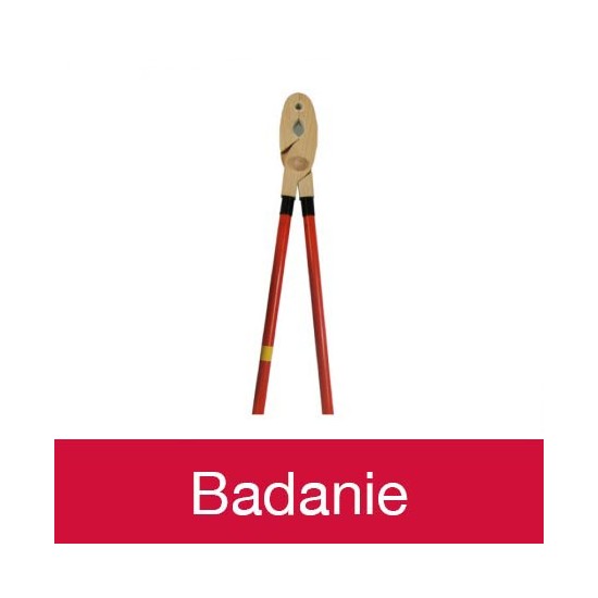 Badanie - Kleszcze izolacyjne